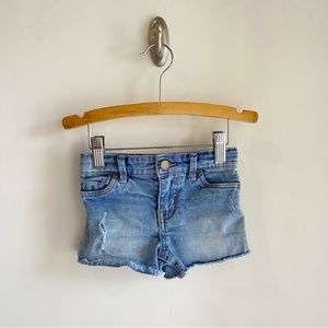 Girls, Calvin Klein jeans shorts